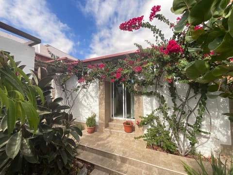 Property building, Spring, Day, Garden, Garden view