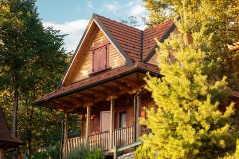 STD Bešević "Naše Brdo" Ivanjica Nature lodge in Zlatibor District, Serbia