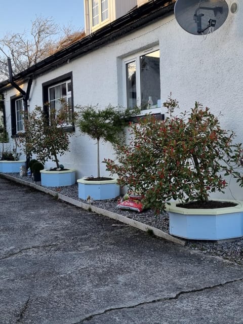 The little garden hoose Chalet in Inverness