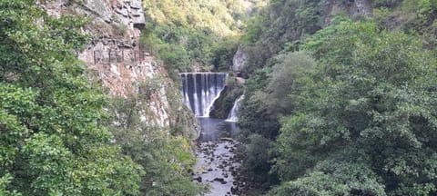 APARTMAN studio DADO Apartment in Zlatibor District, Serbia