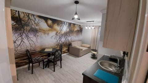 APARTMAN studio DADO Apartment in Zlatibor District, Serbia