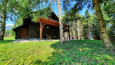 Day, Natural landscape, Summer, On site
