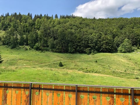 Gite des Rousses d'Amont - 15 personnes House in Canton of Vaud