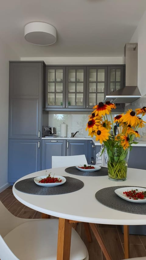 APARTAMENT WILKASY II (k. Giżycka ) Apartment in Lithuania