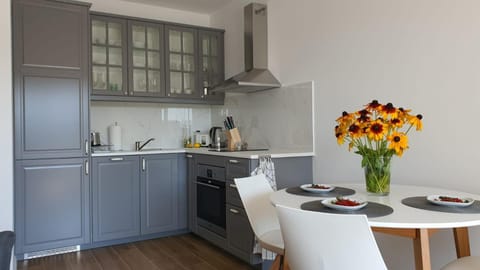 APARTAMENT WILKASY II (k. Giżycka ) Apartment in Lithuania