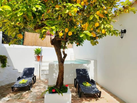 Patio, Pool view, sunbed