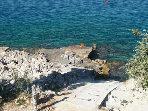 Neighbourhood, Natural landscape, Beach