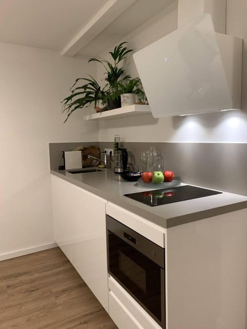 Designer Loft Apartment in Delft city new 38B Apartment in Delft