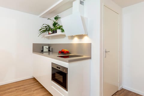 Designer Loft Apartment in Delft city new 38B Apartment in Delft