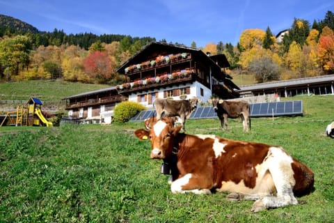 Wegscheiderhof Bed and Breakfast in Trentino-South Tyrol
