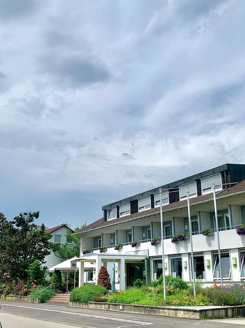 Property building, Day