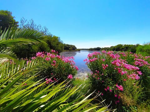 Day, Natural landscape