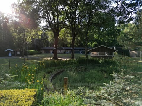 Property building, Garden