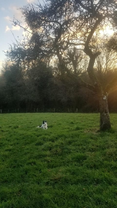 Chambre d'hôtes Morbihan Gwenva Bed and Breakfast in Brittany