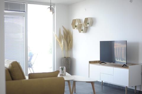 Communal lounge/ TV room, Living room, Seating area