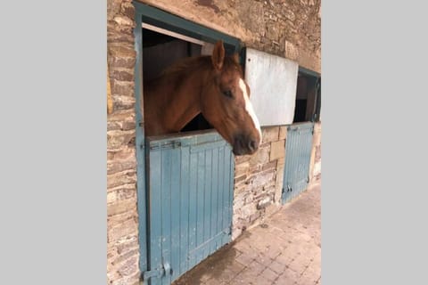 Rhubarb Cottage House in Leitrim, Co. Leitrim, Ireland