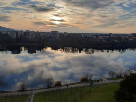 Natural landscape, Area and facilities