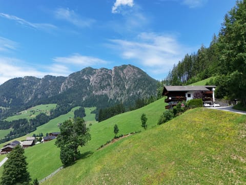 Haus Bergleiten Apartment in Alpbach