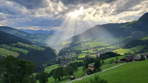 Haus Bergleiten Apartment in Alpbach