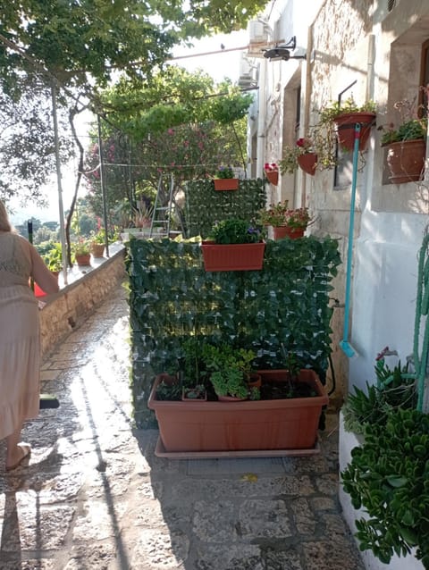 Belvedere House in Locorotondo