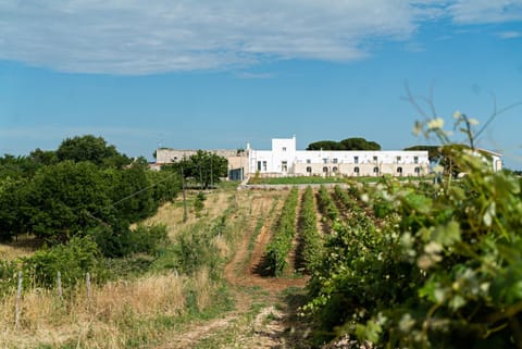 Property building, Garden, Garden view, Street view