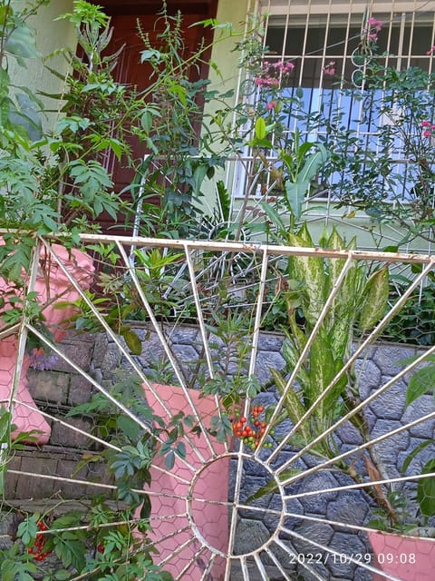 Pertinho da Mata House in Cachoeiras de Macacu