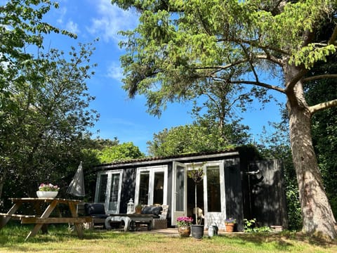 Property building, Day, Garden