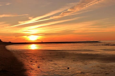 Natural landscape, Beach