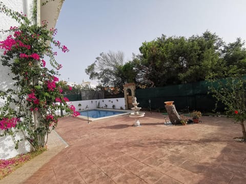 Day, Garden, Swimming pool