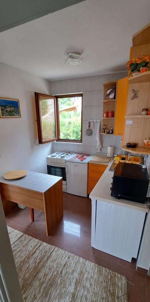 Kitchen or kitchenette, dishwasher, oven, stove