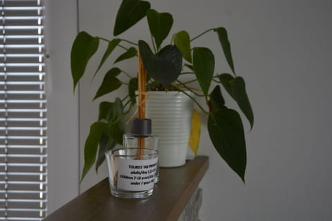 Zemva Stays - JT Apartma, free bikes, big garden with terrace Apartment in Carinthia, Austria