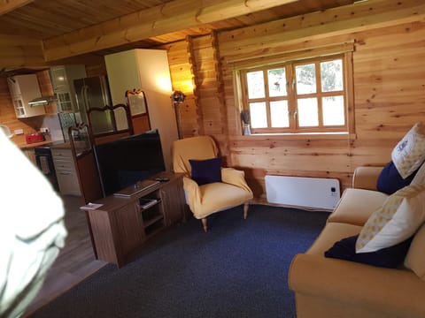 Cabin at Aithernie Cabin in Scotland