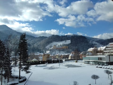 Natural landscape, Winter, Mountain view