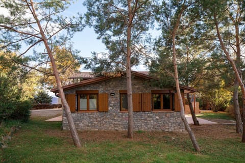 Natural landscape, Garden, Garden view