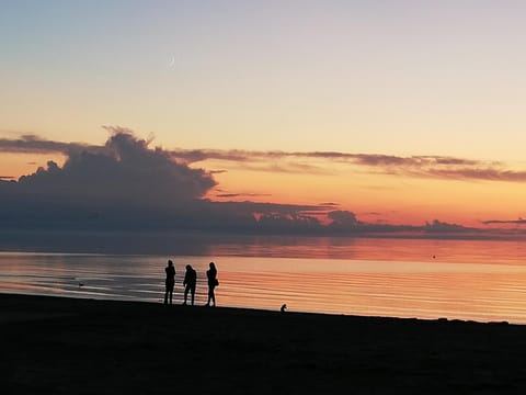 Beach, Sea view, Sunset, group of guests
