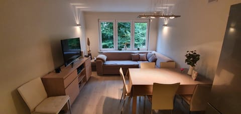 TV and multimedia, Living room, Other, Photo of the whole room, Decorative detail, Seating area, Dining area, On site, Area and facilities