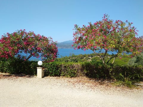 Sea view