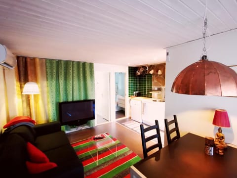 TV and multimedia, Kitchen or kitchenette, Living room, Photo of the whole room, Decorative detail, Seating area, Dining area