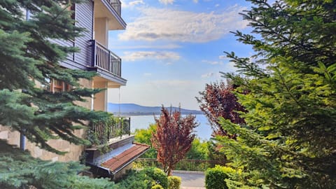 Day, Natural landscape, Garden, Garden view, Sea view