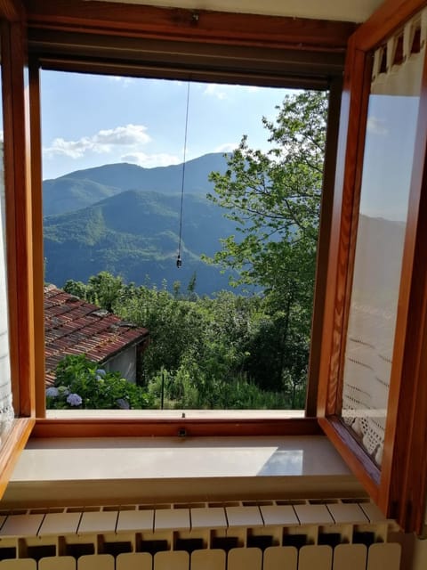 Mountain view