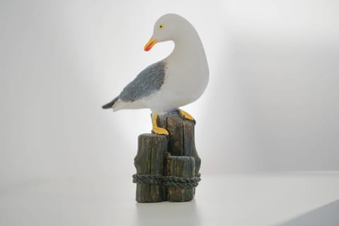 Dünenblick 4 Personen Strandnähe ruhig gelegen Apartment in Westerland