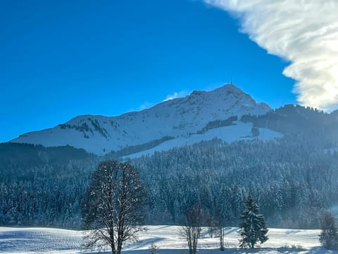 Appartementhaus FICHTERN Apartment in Salzburgerland