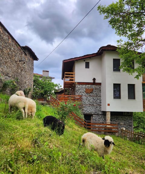 Property building, Natural landscape, Animals, City view, City view, Garden view