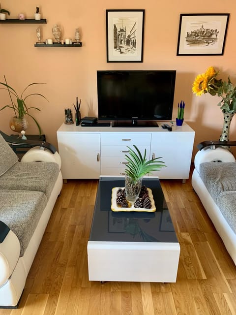 Sunny Apartment Petrovac Apartment in Budva Municipality