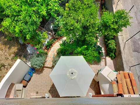 Patio, Bird's eye view, Garden view