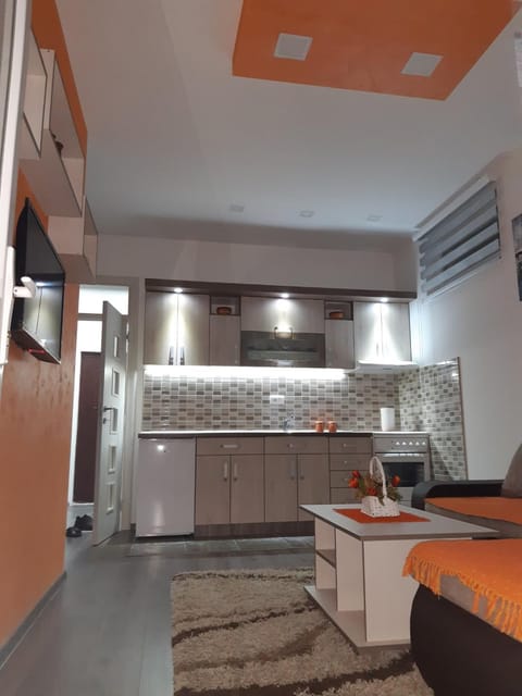 Apartman HEDONIJA Apartment in Zlatibor District, Serbia
