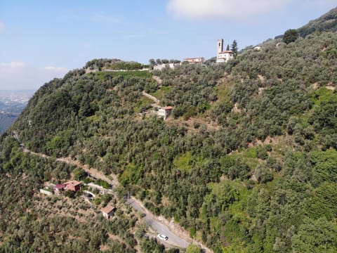 Neighbourhood, Natural landscape, Bird's eye view