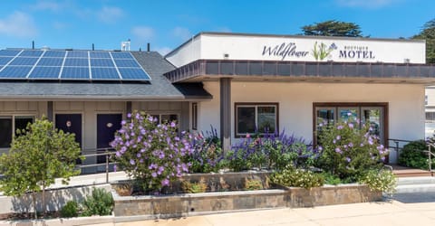 Wildflower Boutique Motel Hotel in Point Arena