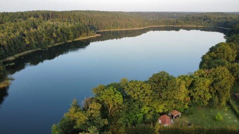 Lake view