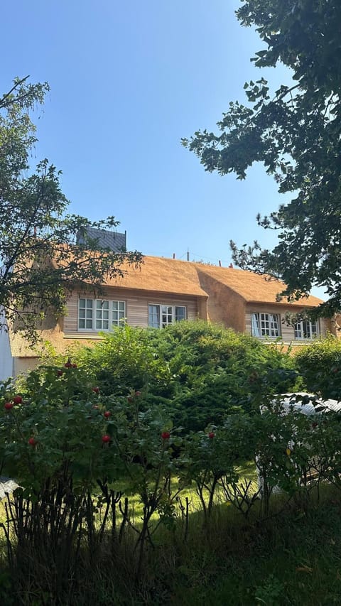 Property building, Spring, Day, Garden, Garden view